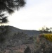 JTF Rattlesnake’s Auburn hand crews clear hillside of potential fire fuels