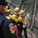 JTF Rattlesnake’s Auburn hand crews clear hillside of potential fire fuels