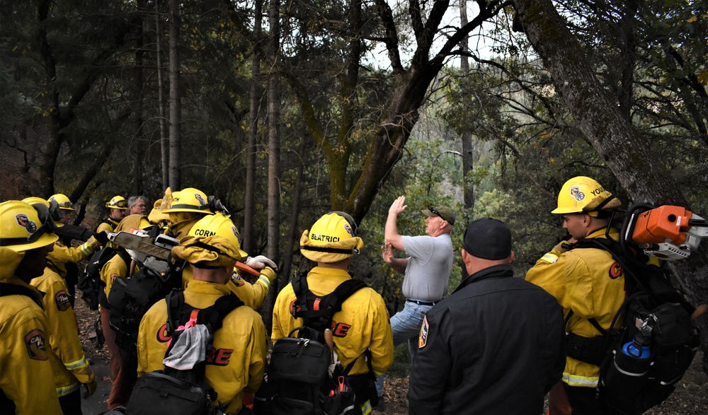 JTF Rattlesnake’s Auburn hand crews clear hillside of potential fire fuels