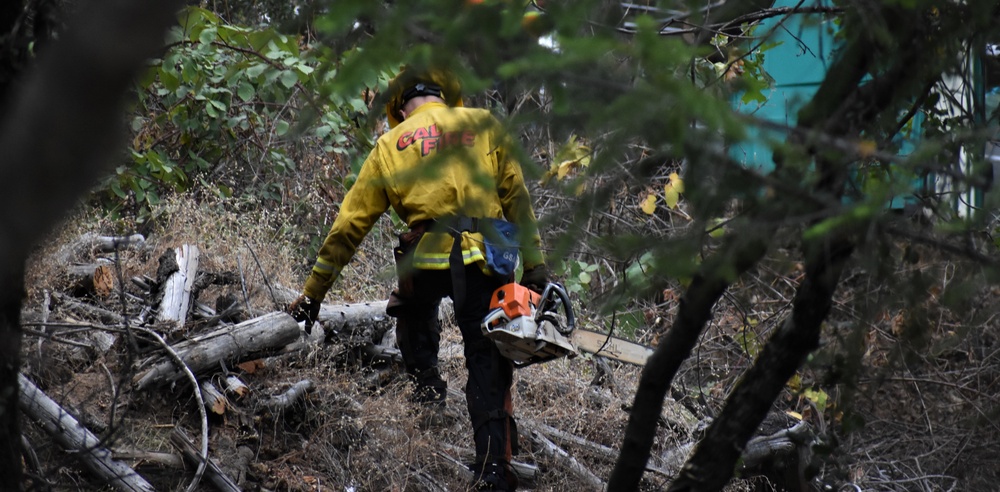 JTF Rattlesnake’s Auburn hand crews clear hillside of potential fire fuels