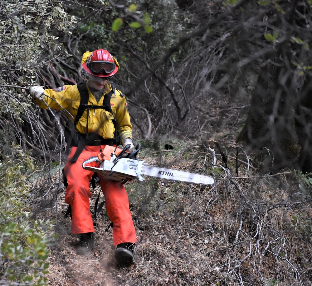 JTF Rattlesnake’s Auburn hand crews clear hillside of potential fire fuels