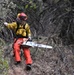 JTF Rattlesnake’s Auburn hand crews clear hillside of potential fire fuels