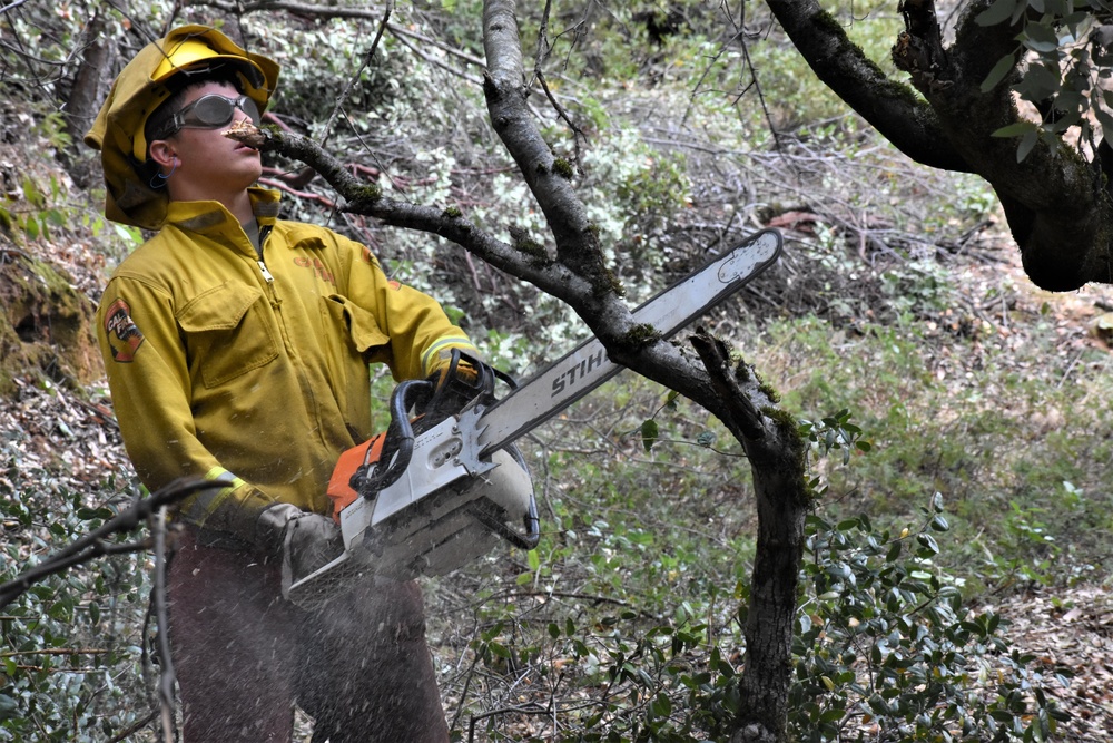 JTF Rattlesnake’s Auburn hand crews clear hillside of potential fire fuels