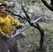 JTF Rattlesnake’s Auburn hand crews clear hillside of potential fire fuels