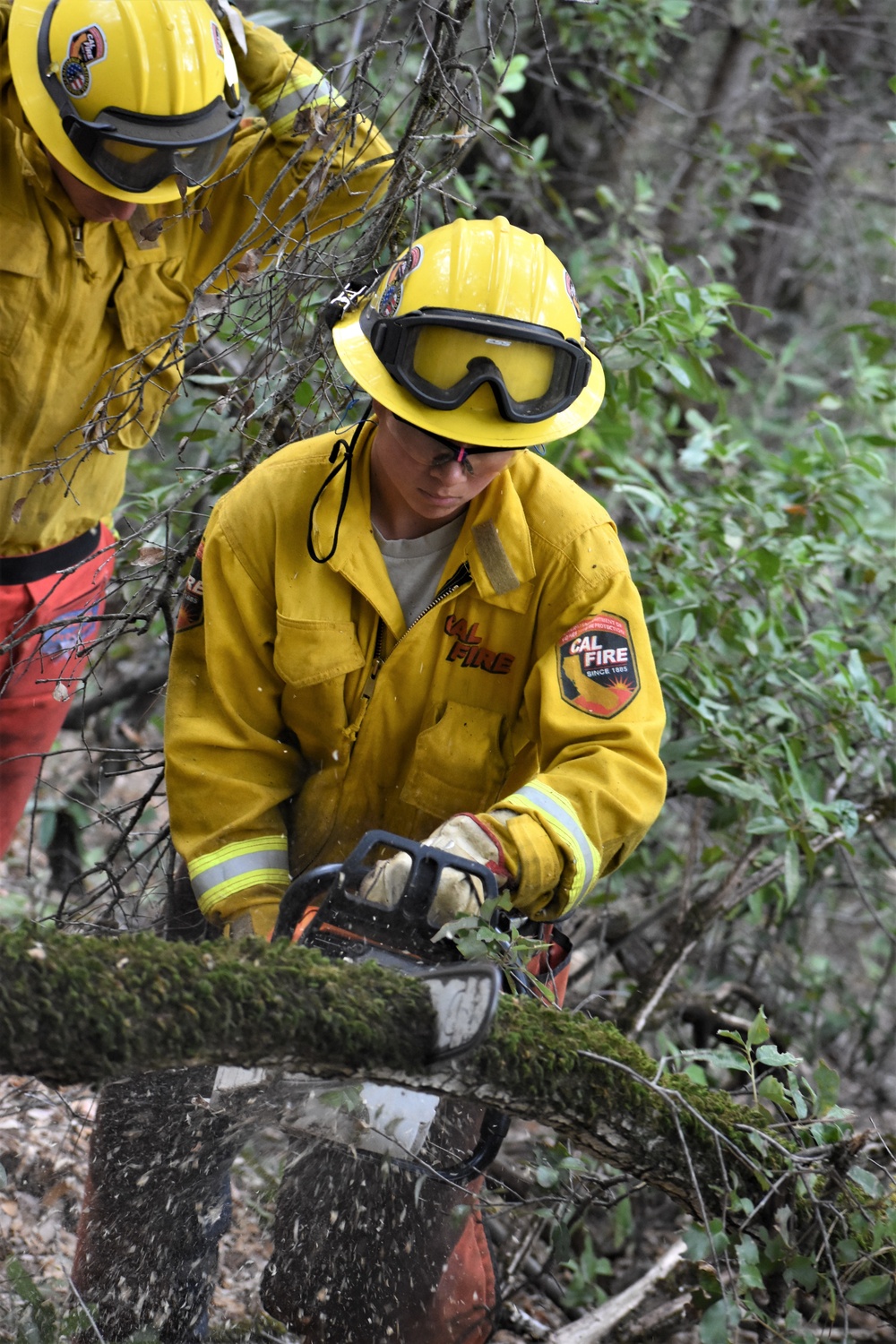 JTF Rattlesnake’s Auburn hand crews clear hillside of potential fire fuels