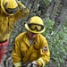 JTF Rattlesnake’s Auburn hand crews clear hillside of potential fire fuels