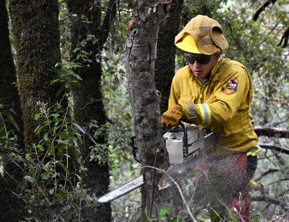 JTF Rattlesnake’s Auburn hand crews clear hillside of potential fire fuels