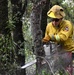 JTF Rattlesnake’s Auburn hand crews clear hillside of potential fire fuels