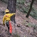 JTF Rattlesnake’s Auburn hand crews clear hillside of potential fire fuels