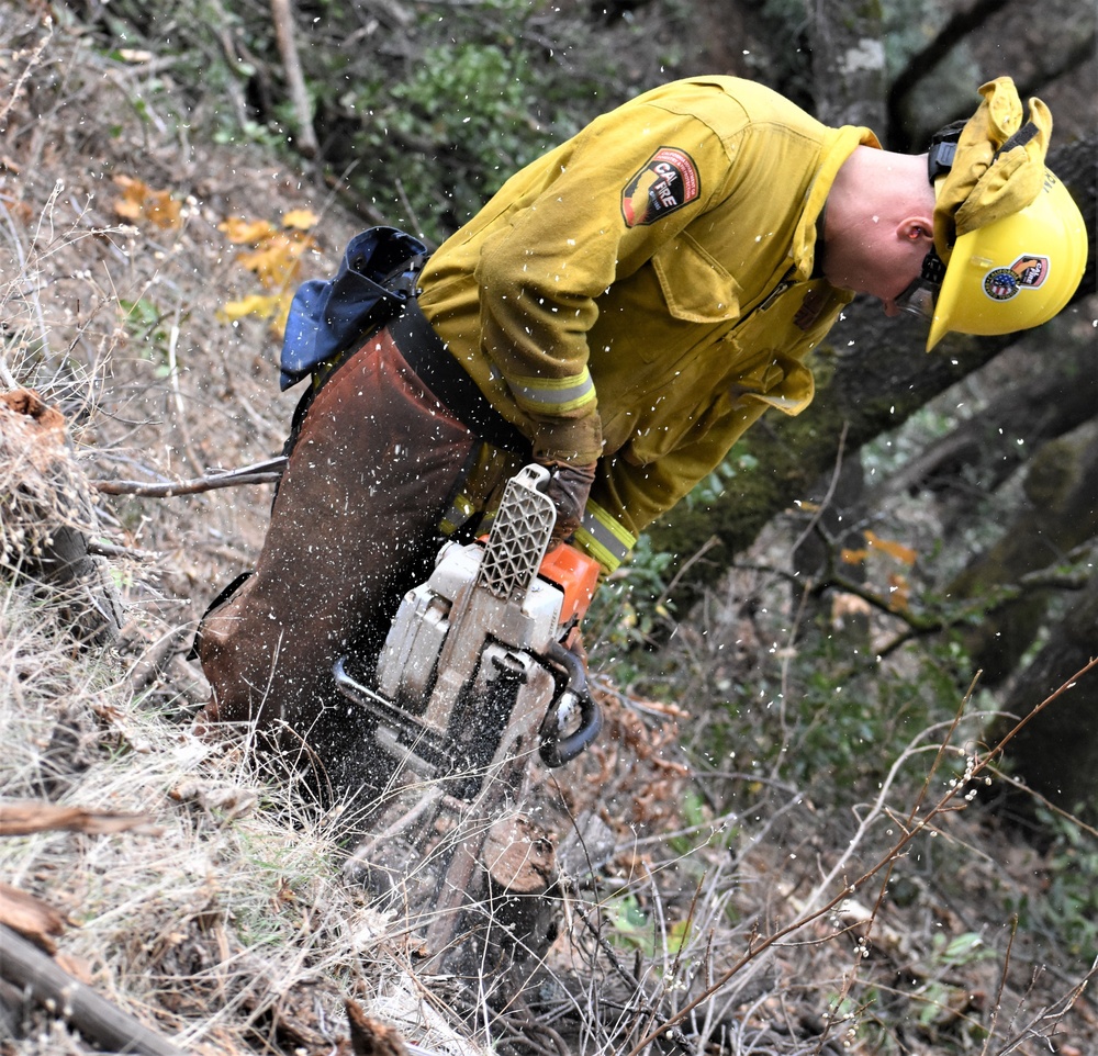 JTF Rattlesnake’s Auburn hand crews clear hillside of potential fire fuels