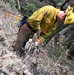 JTF Rattlesnake’s Auburn hand crews clear hillside of potential fire fuels