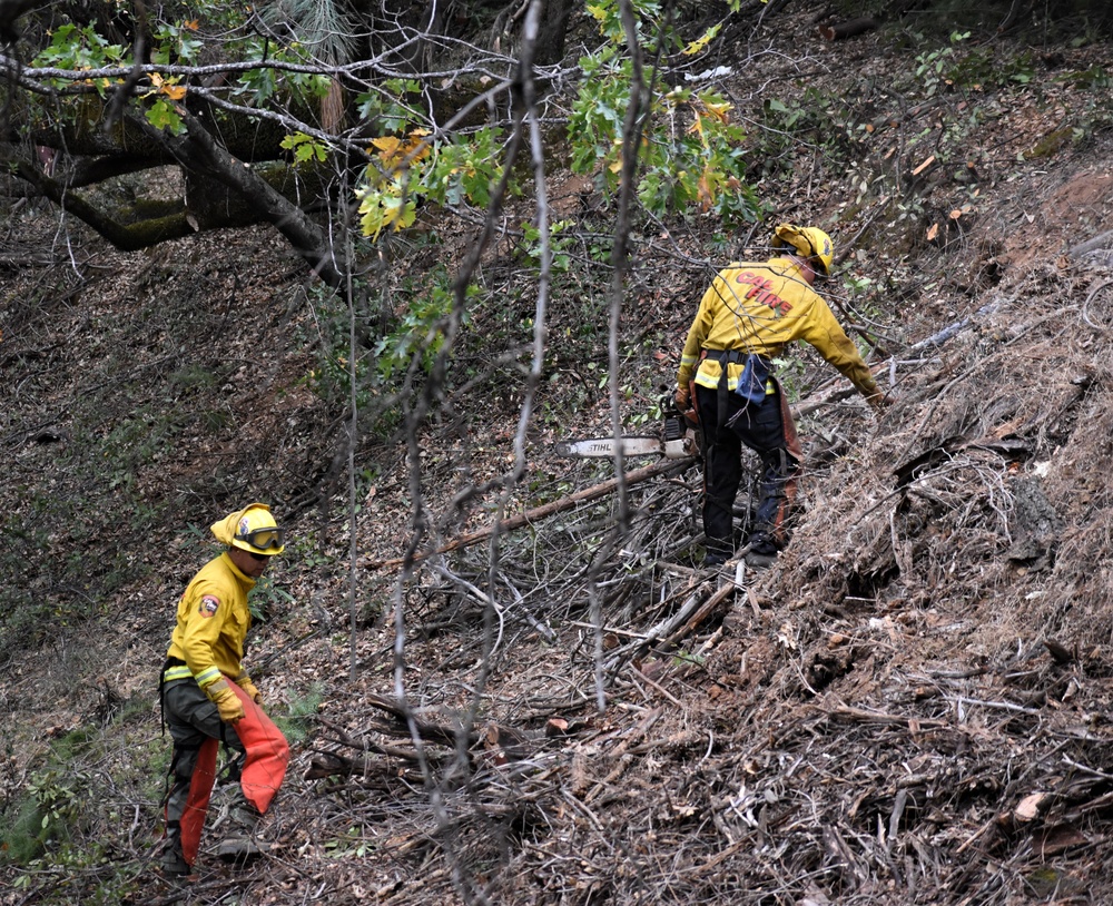 JTF Rattlesnake’s Auburn hand crews clear hillside of potential fire fuels