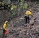 JTF Rattlesnake’s Auburn hand crews clear hillside of potential fire fuels