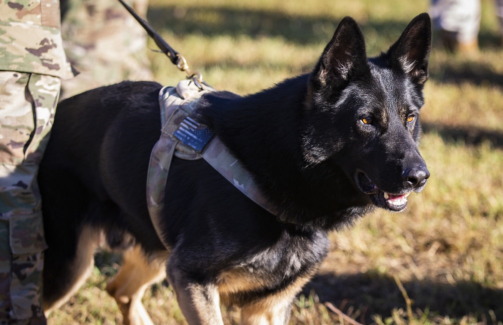 2019 Iron Dog Competition