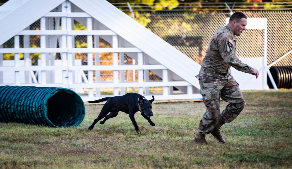 2019 Iron Dog Competition