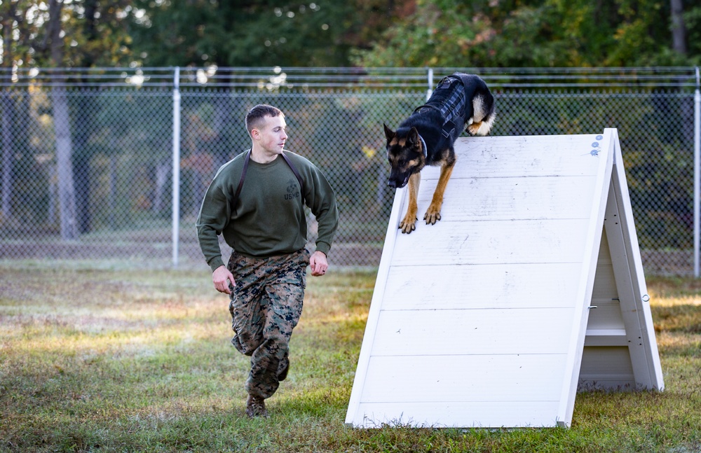 2019 Iron Dog Competition