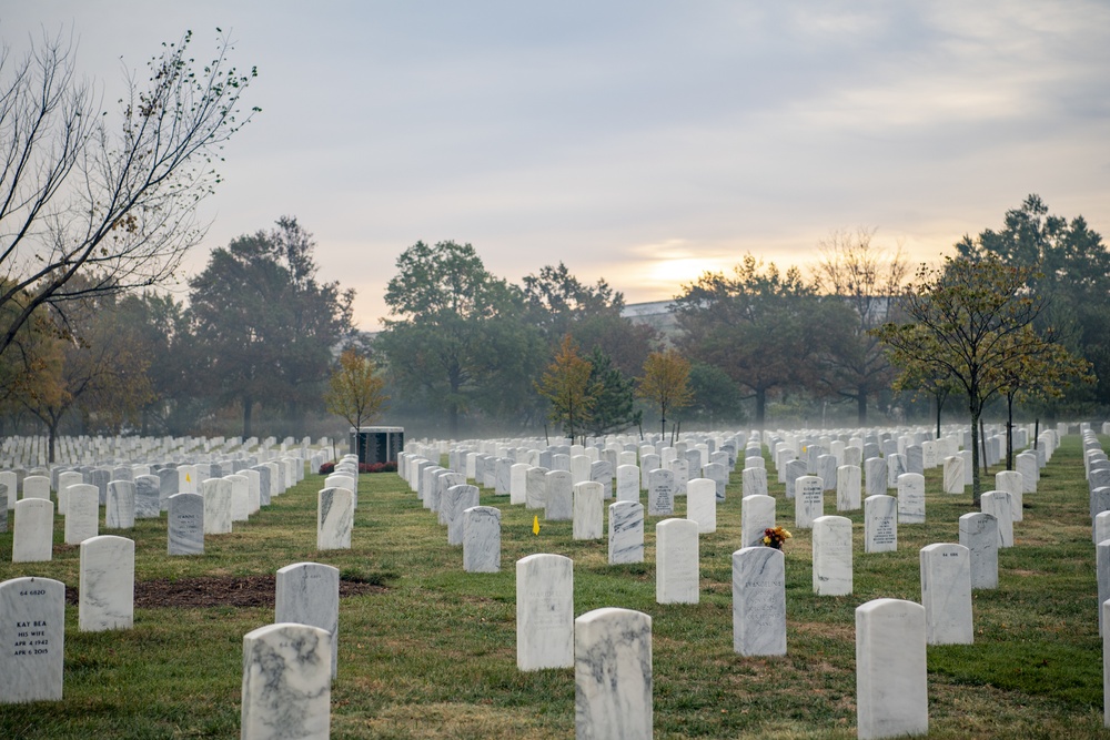 Morning at Arlington National Cemetery