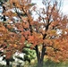 2019 Fall Colors at Fort McCoy