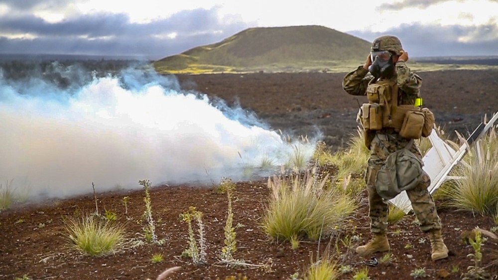 Bougainville II: Platoon Attack