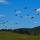 Multinational SOF and Sky Soldiers combine unconventional and conventional warfare at Saber Junction 19 Multinational SOF and Sky Soldiers combine unconventional and conventional warfare at Saber Junction 19