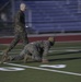 U.S. Marine Corps Forces, Europe and Africa Marines Conduct Combat Fitness Test