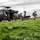 Multinational SOF and Sky Soldiers combine unconventional and conventional warfare at Saber Junction 19 Multinational SOF and Sky Soldiers combine unconventional and conventional warfare at Saber Junction 19