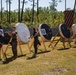 Wounded Warrior Battalion promotes camaraderie with allied partners