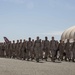 VMA-311 Homecoming