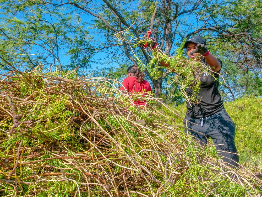 Volunteers work to restore Ahua Reef Wetland