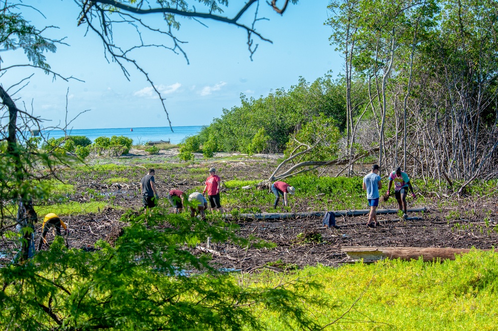 Volunteers work to restore Ahua Reef Wetland