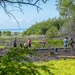Volunteers work to restore Ahua Reef Wetland