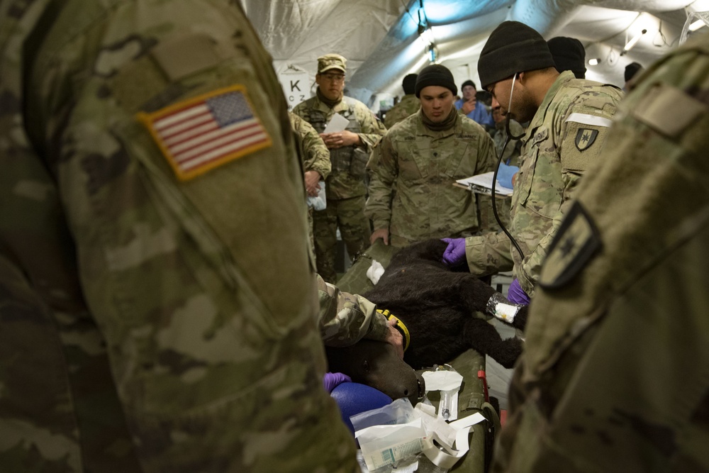 One Call Away: Medical Teams Answer the Call During Emergency Deployment Readiness Exercise