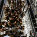 Italian air force cadets tour 386th AEW