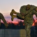 U.S. Marines Combat Fitness Test in Germany