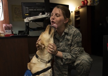 The healing power of Kansas