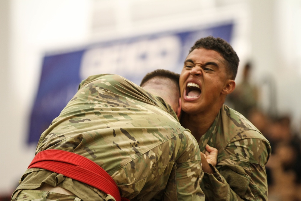 Tropic Lightning Week Combatives Tournament