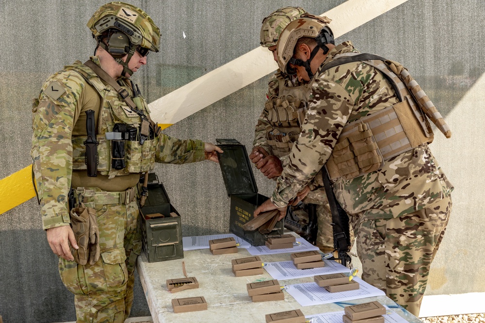 Advise, Assist and Enable Team