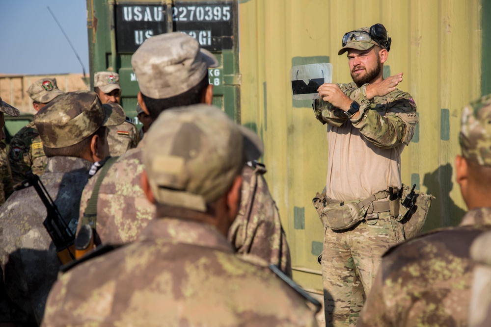 Danish Army Training Iraqi Soldiers