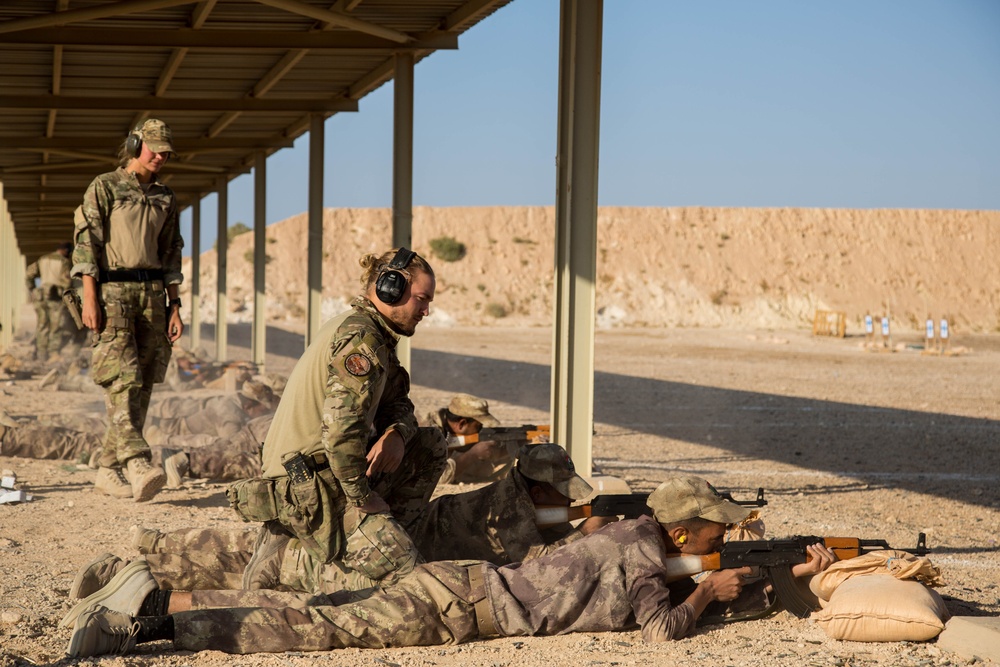 Danish Army Training Iraqi Soldiers