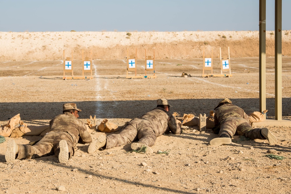 Danish Army Training Iraqi Soldiers