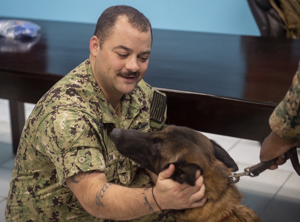 Comfort Visits Jamaica