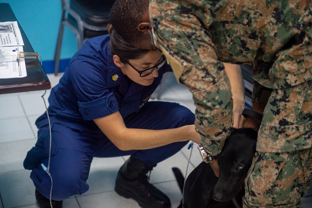 Comfort Visits Jamaica