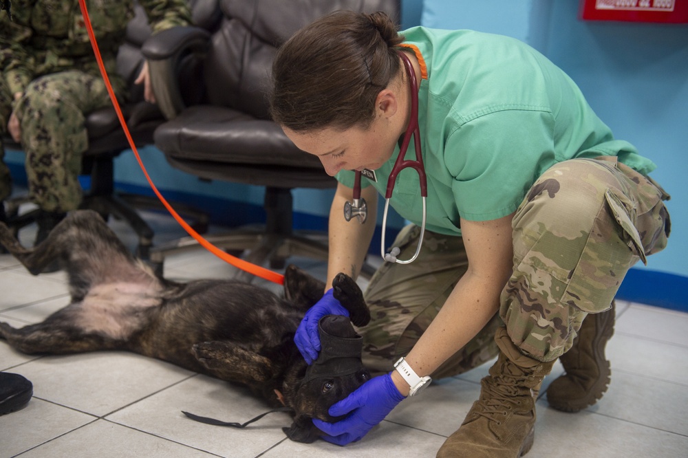 Comfort Visits Jamaica