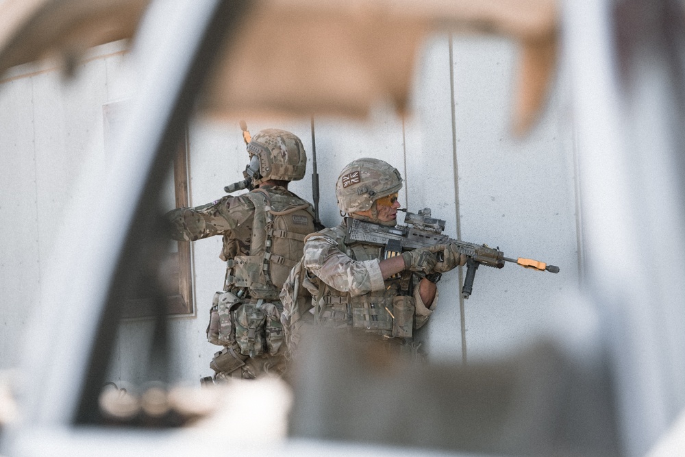 The Violence of Action