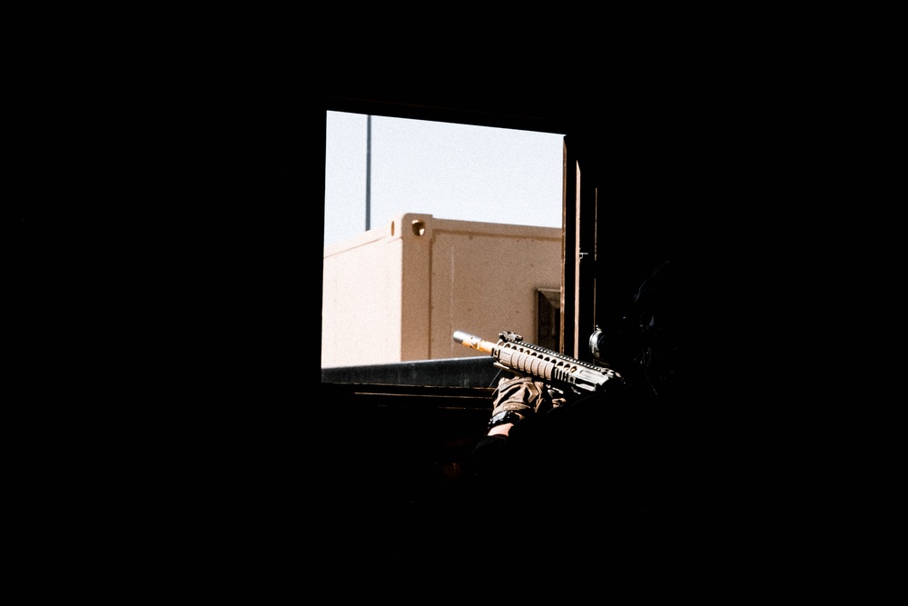 The Violence of Action