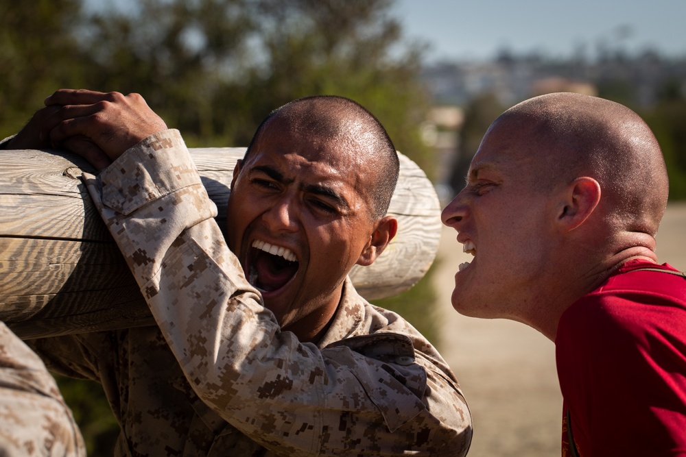 Alpha Company Log Drills
