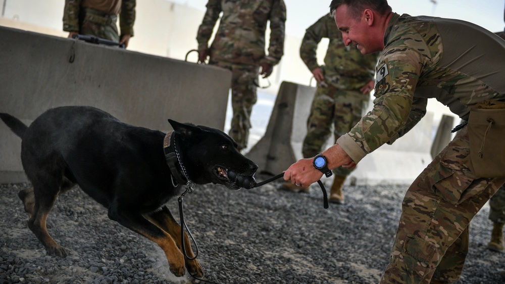 In your Boots: 386th Expeditionary Security Forces Squadron