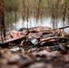 Waterfowl hunting safety reminder
