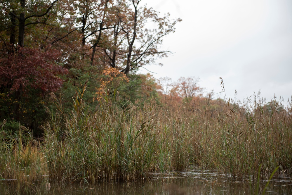Waterfowl hunting safety reminder