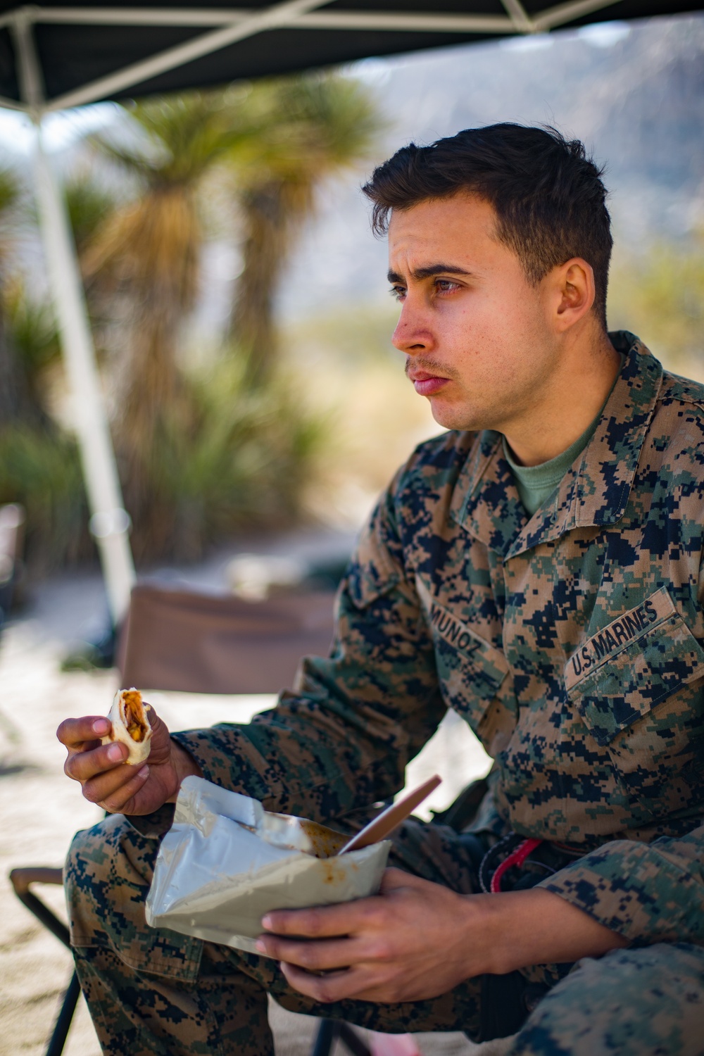 U.S. Marines with 2/4 complete Assault Climber's Course